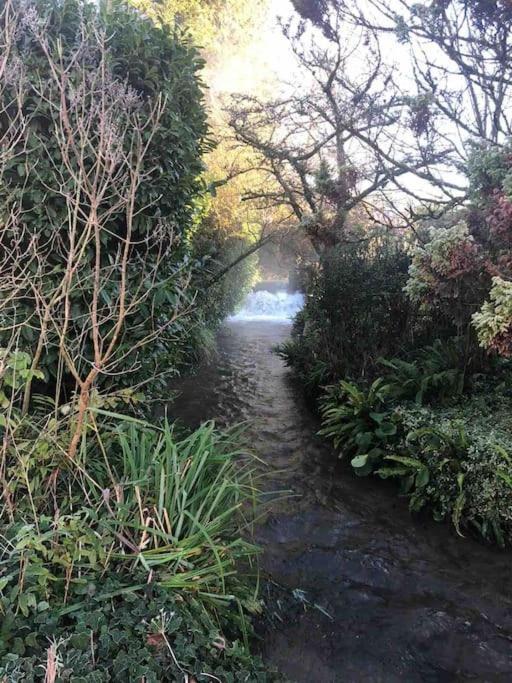 Eco-Friendly Dorset Cottage With Spa Set In Heart Of Countryside Sydling St Nicholas Exterior photo