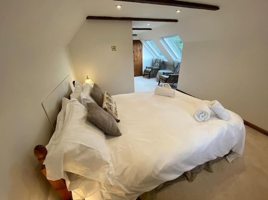 Eco-Friendly Dorset Cottage With Spa Set In Heart Of Countryside Sydling St Nicholas Exterior photo